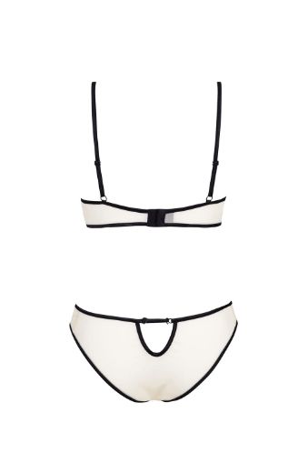 Product image of Beauty Night BN6611 Savannah Teddy